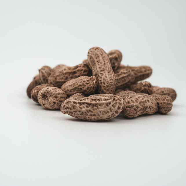 ARACHIDE FRAIS DU TOGO LEGUME