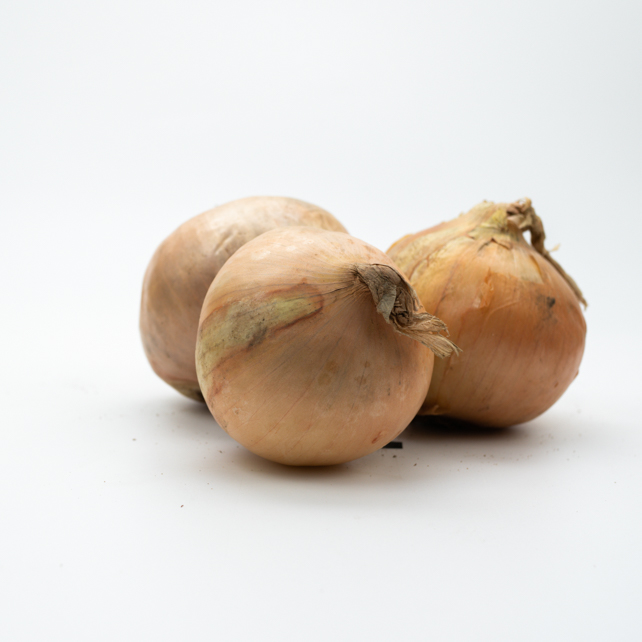 OIGNON DE FRANCE LEGUME   F