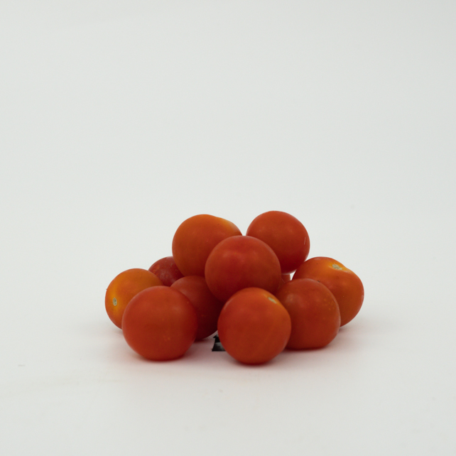 TOMATE SERISE