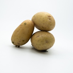 PATATE FRANCE LEGUME  F